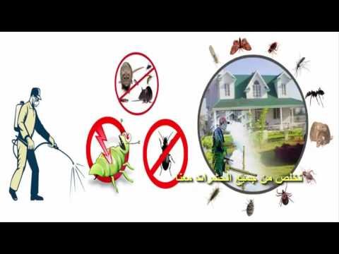 شركة مكافحة النمل الابيض بالرياض – شركة رش مبيدات بالرياض 0590352700 ديكوريند