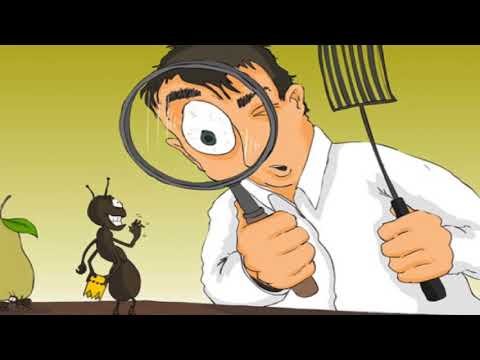 شركة مكافحة النمل الابيض بالرياض – أفضل شركة مكافحة حشرات بالرياض -0533393243-رش مبيدات،شركة رش الحشرات بالرياض
